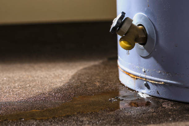 Best 24-hour water damage restoration  in Uniontown, AL