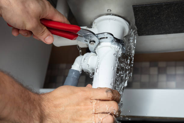 Best Professional water damage repair  in Uniontown, AL