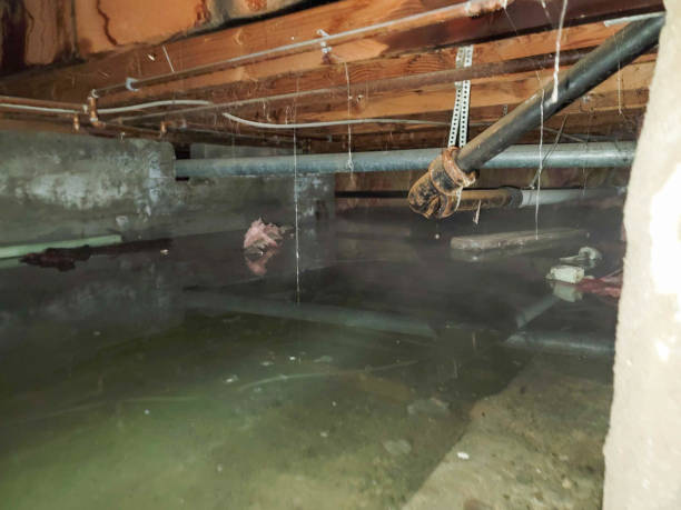 Best Commercial water damage restoration  in Uniontown, AL