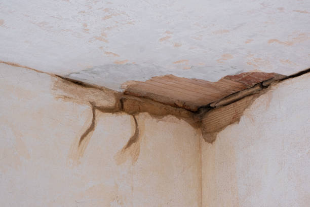 Best Mold removal after water damage  in Uniontown, AL
