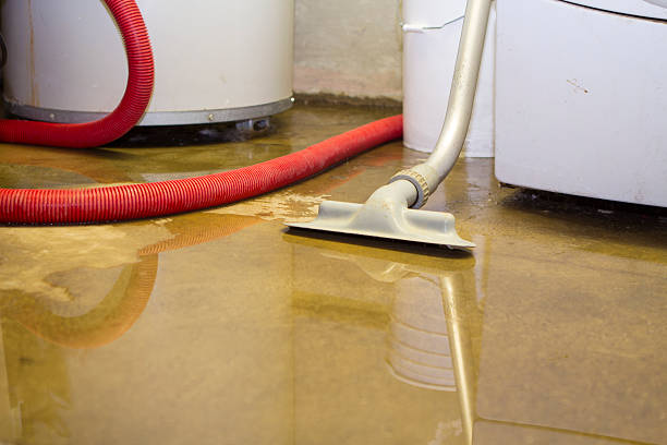 Best Carpet water damage restoration  in Uniontown, AL