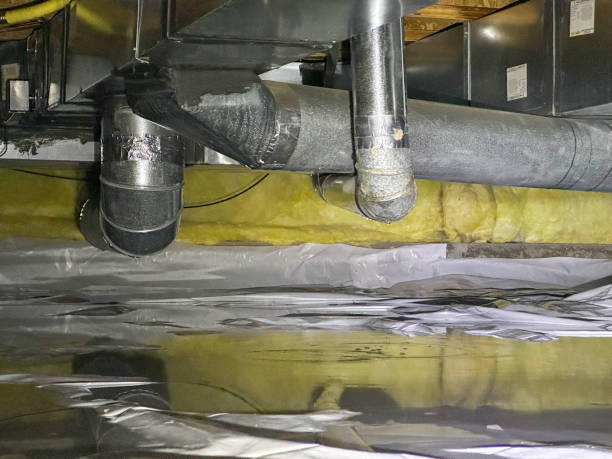 Best Carpet water damage restoration  in Uniontown, AL